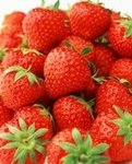 strawberry23.jpg
